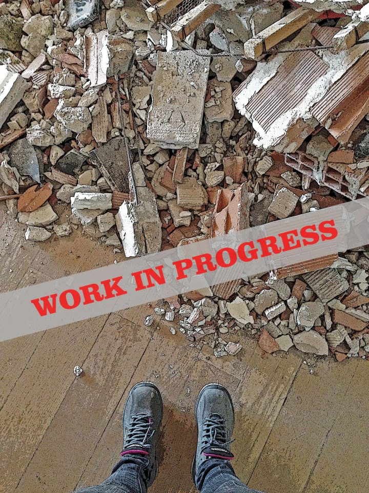 MC – Work In Progress